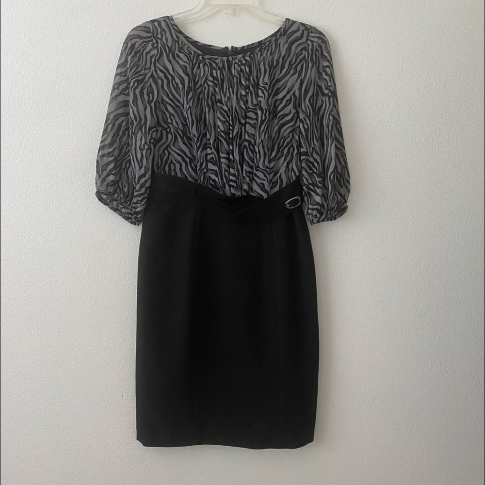 EvanPicone Dress size 4P